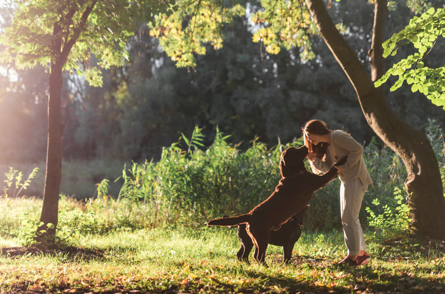 10 Fun and Unique Spring Activities to Enjoy with Your Dog!